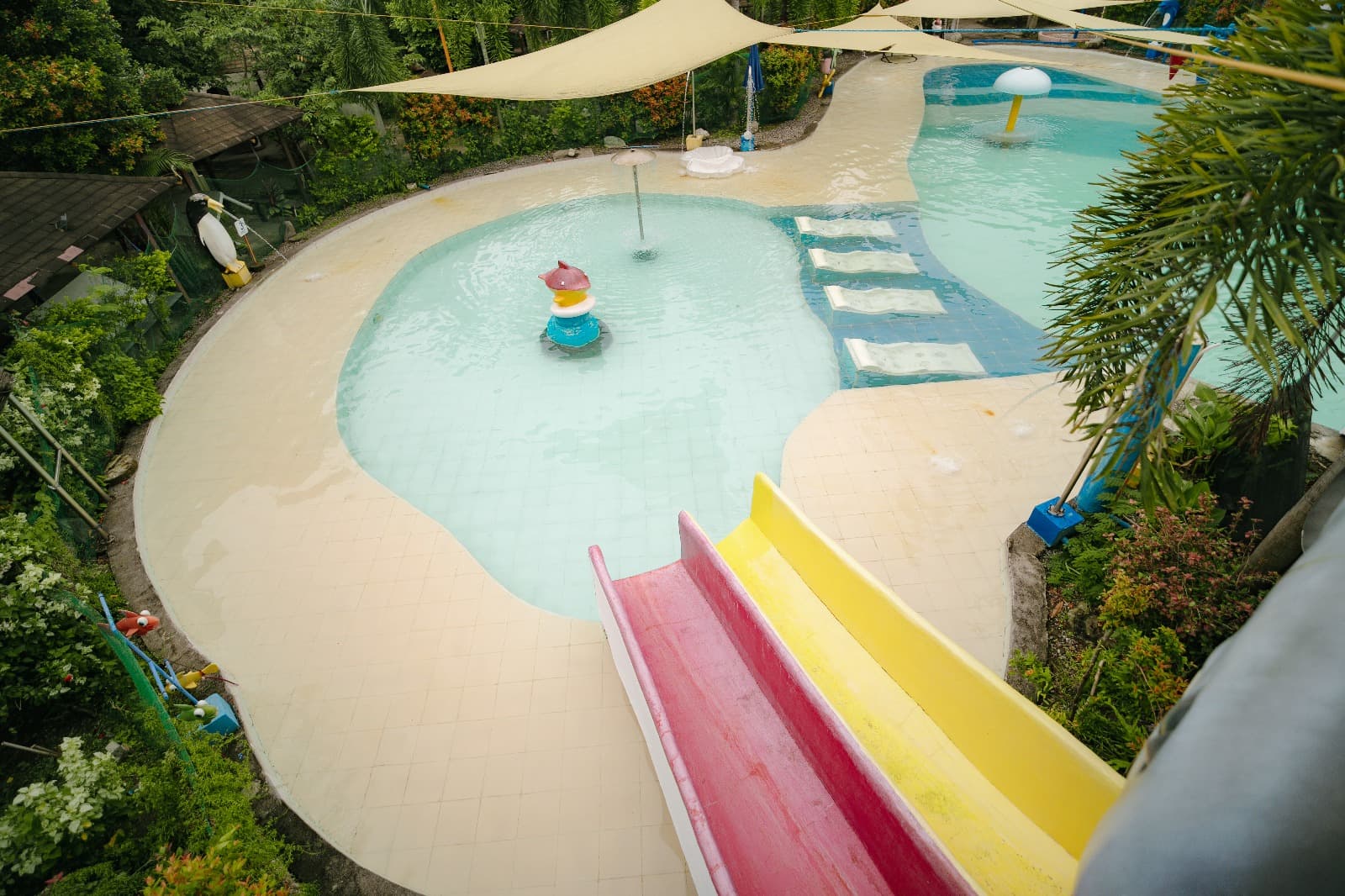 Main Pool