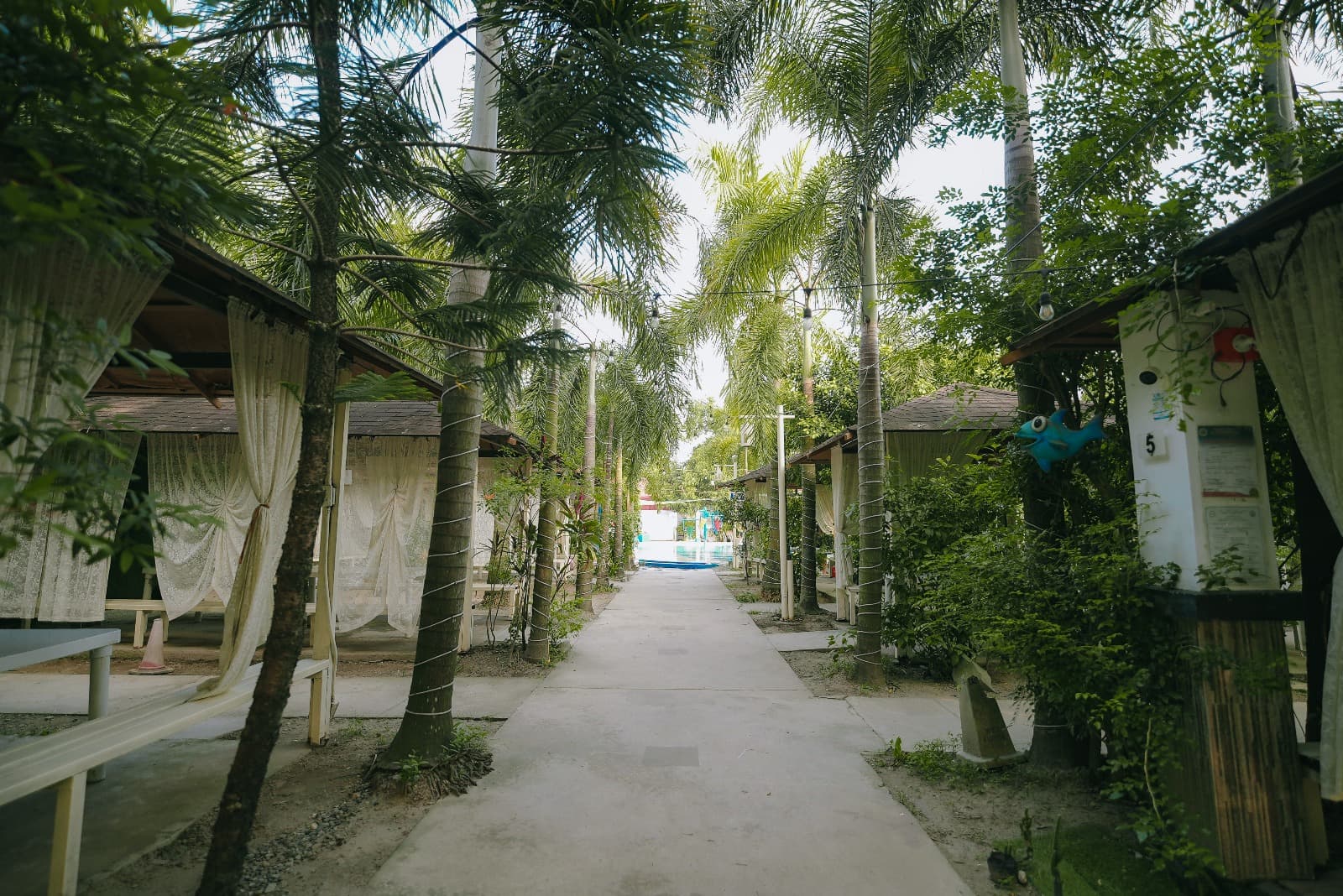 Main Pool