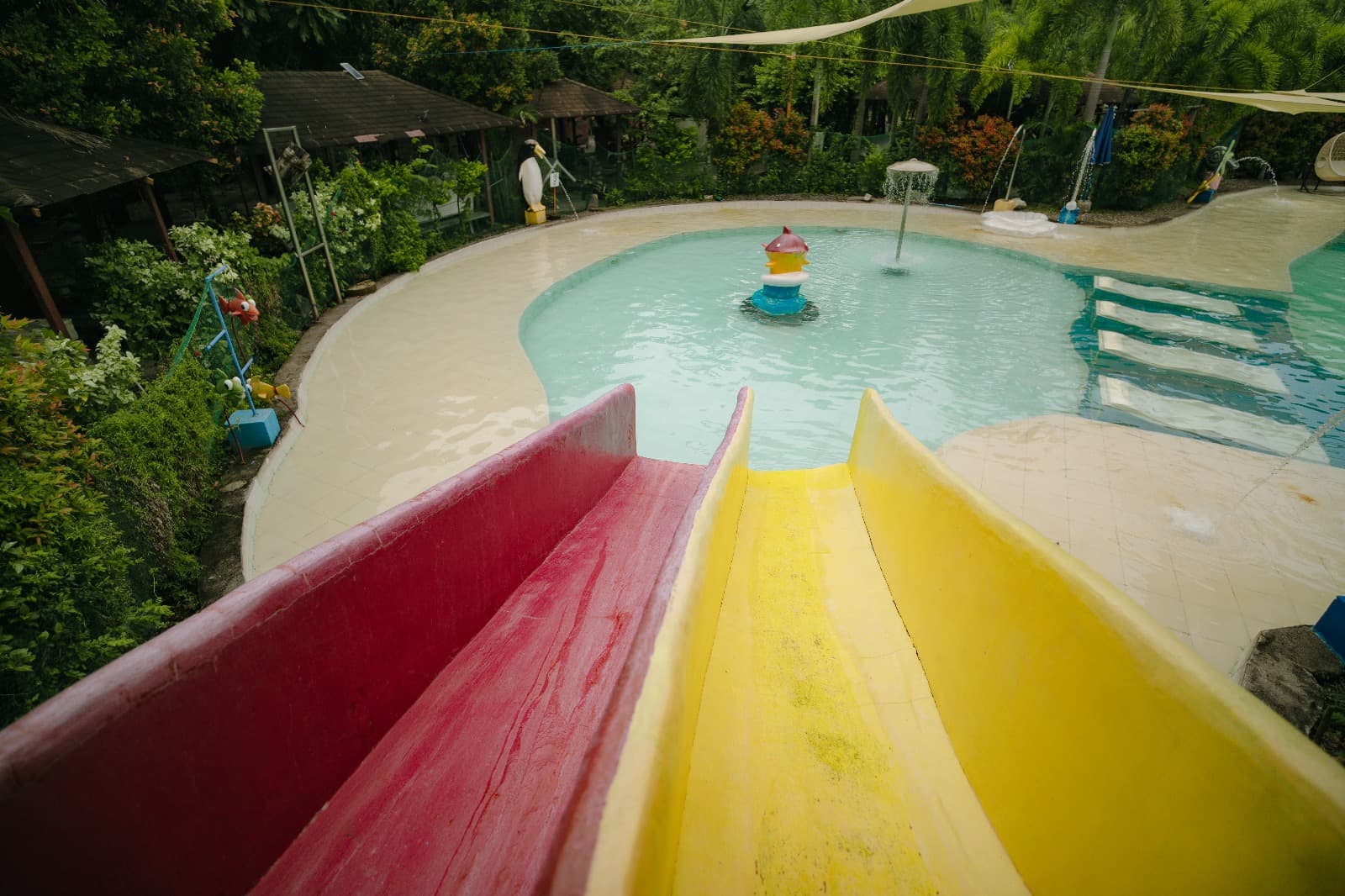 Main Pool